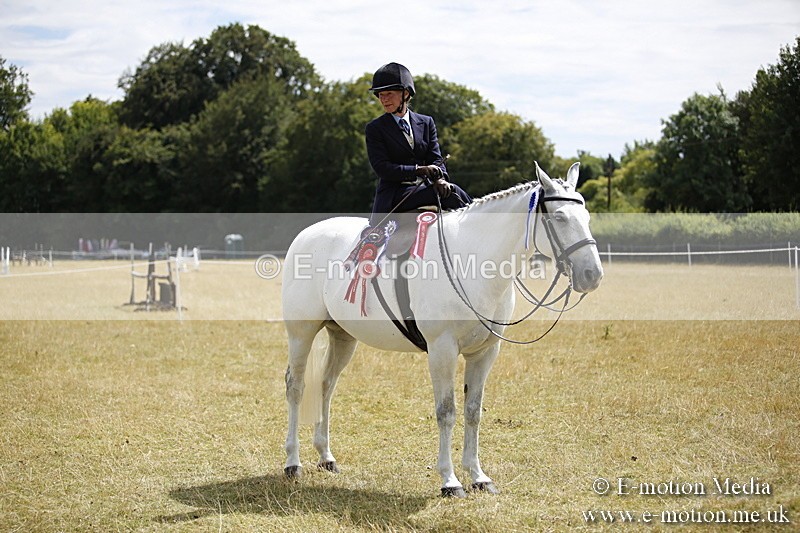 _C7A0305 - Side Saddle Classes BVRC Show 2018