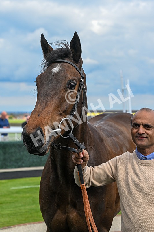 150426-Race 2-Princesse DOrange-5482 - Race 2