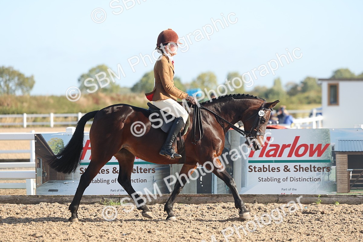 SBM_22109 - Class 801 - Ridden Veterans