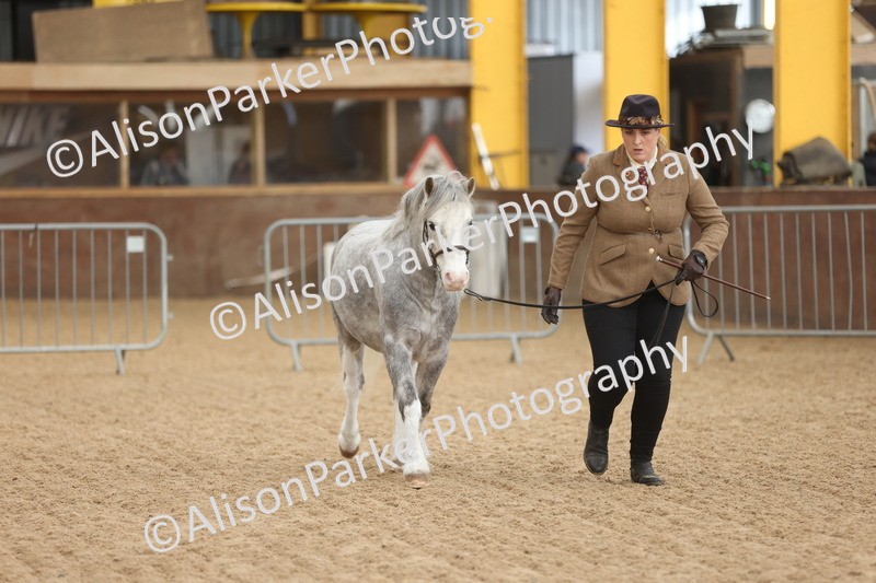 20251109-0638 - Class 22 - Geldings 4 Years and over