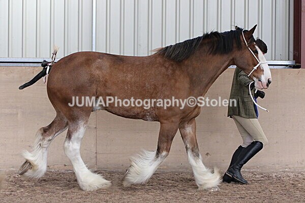 SIAL0387 - Indoor Classes