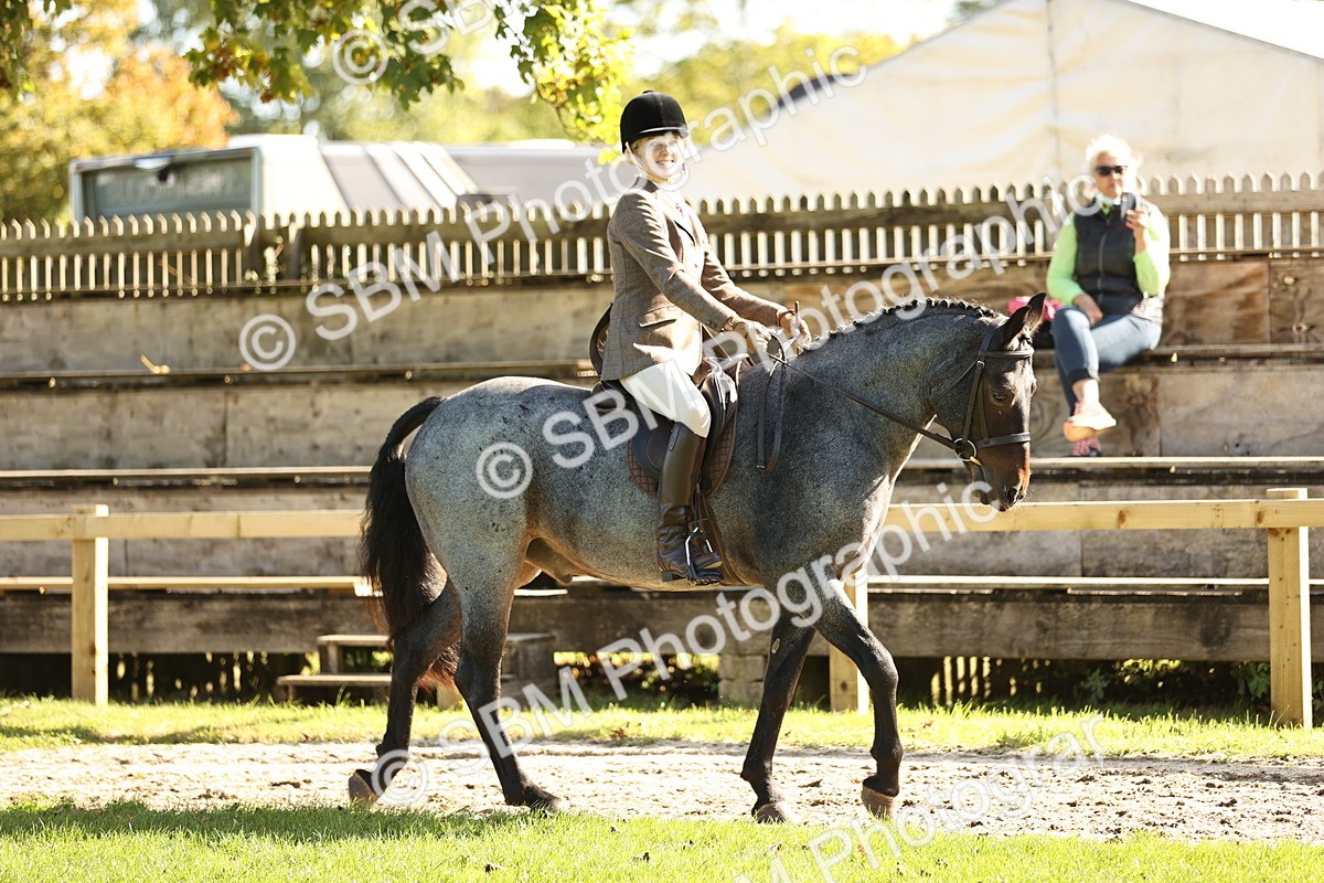SBM_16999 - S2 - TSR Ridden Pony Showing