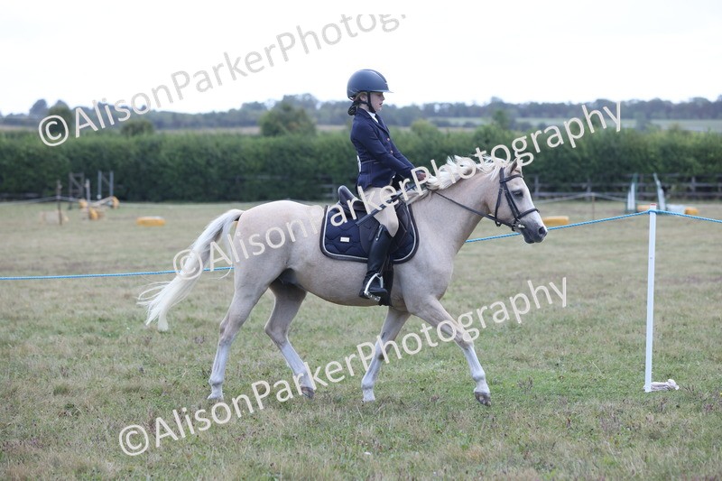 20250831-2370 - Class 16 - Family Pony