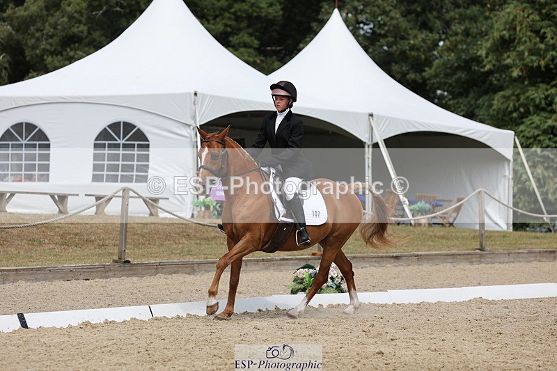 250718A-145224-02300 - 107-Beatrice.Coker-Brown-Portia.the.Fawn