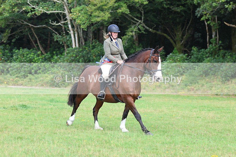 3E7A6074 - Working Hunter Championship