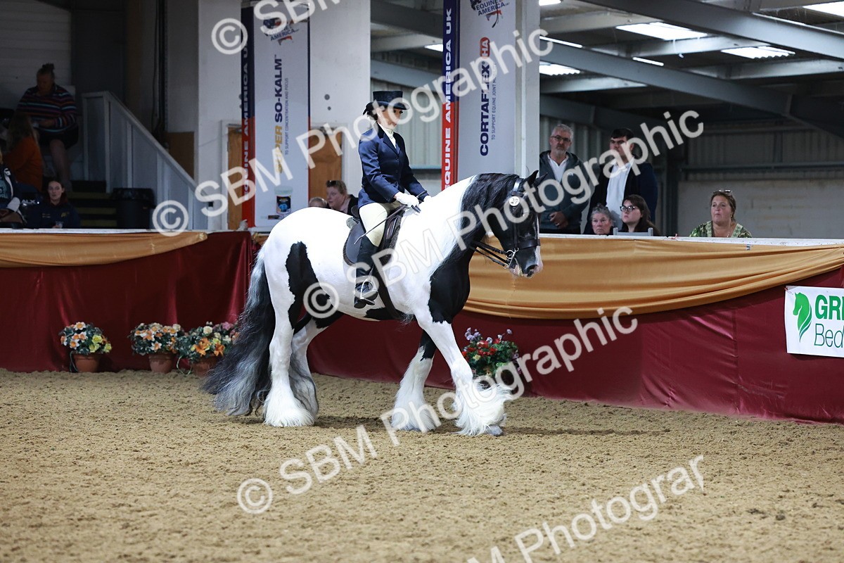 SBM_20121 - Class C - Novalty Champ