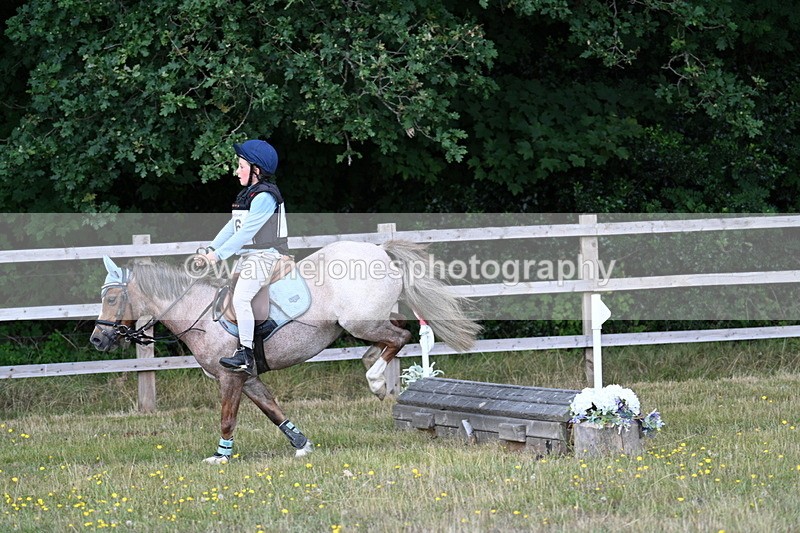 WJ7_0429 - 40cm Time 11:47 to 12:01