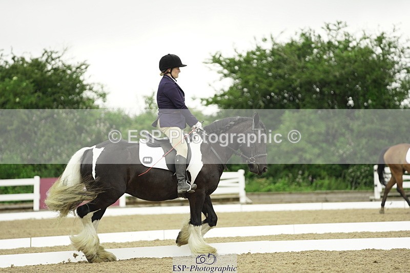 230708A-100114-00269 - Intro C