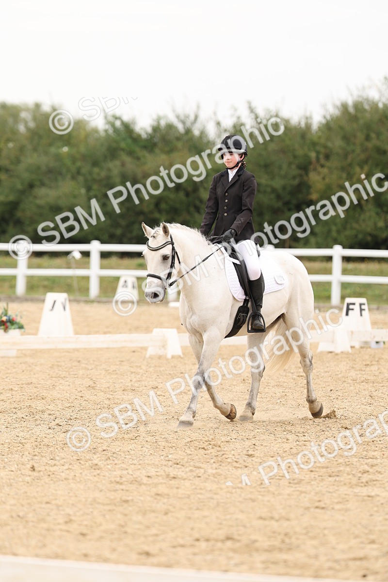 SBM_01091 - Class 8 - Novice 27 Champs