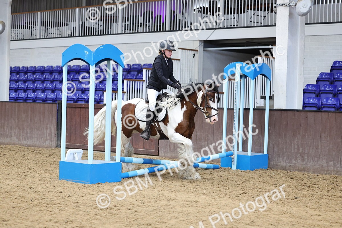 SBM_006920 - Class 1 - 40cm showjumping