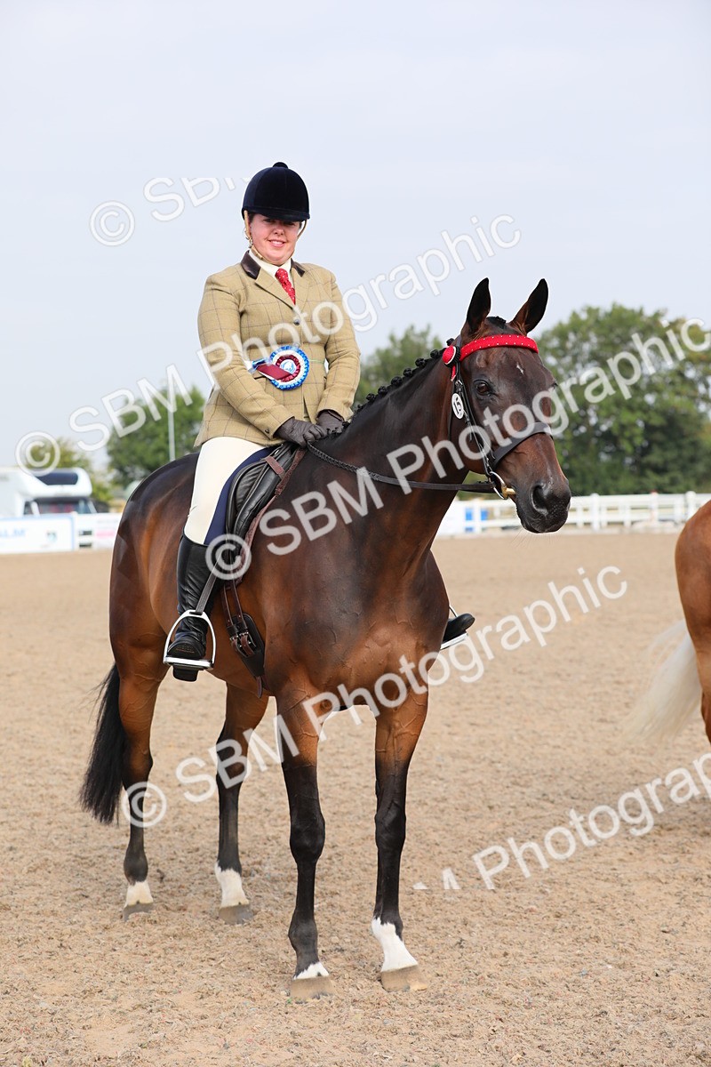 SBM_10729 - Class 303 Ridden Pure Bred Horse/Pony (excl M&M)