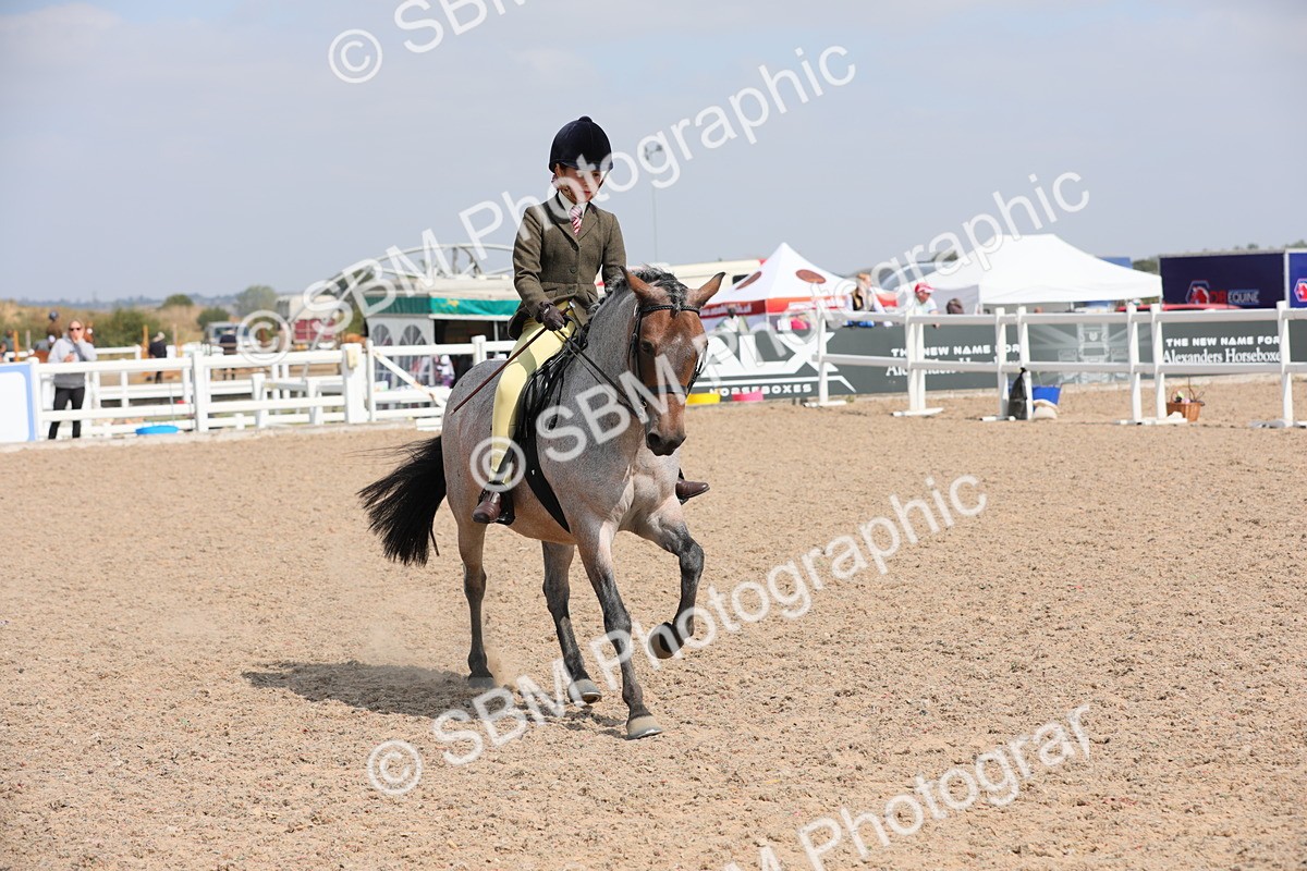SBM_14750 - Class 310 First Ridden Pony