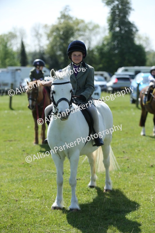 20250427-2679 - Class 6 - Pony Judge Would Most Like To Take Home