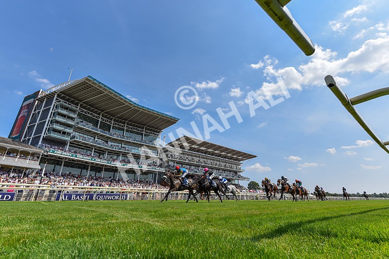 100726-Race 2-Flora Of Bermuda-2380 - Race 2 14.45pm William Hill Summer Stakes