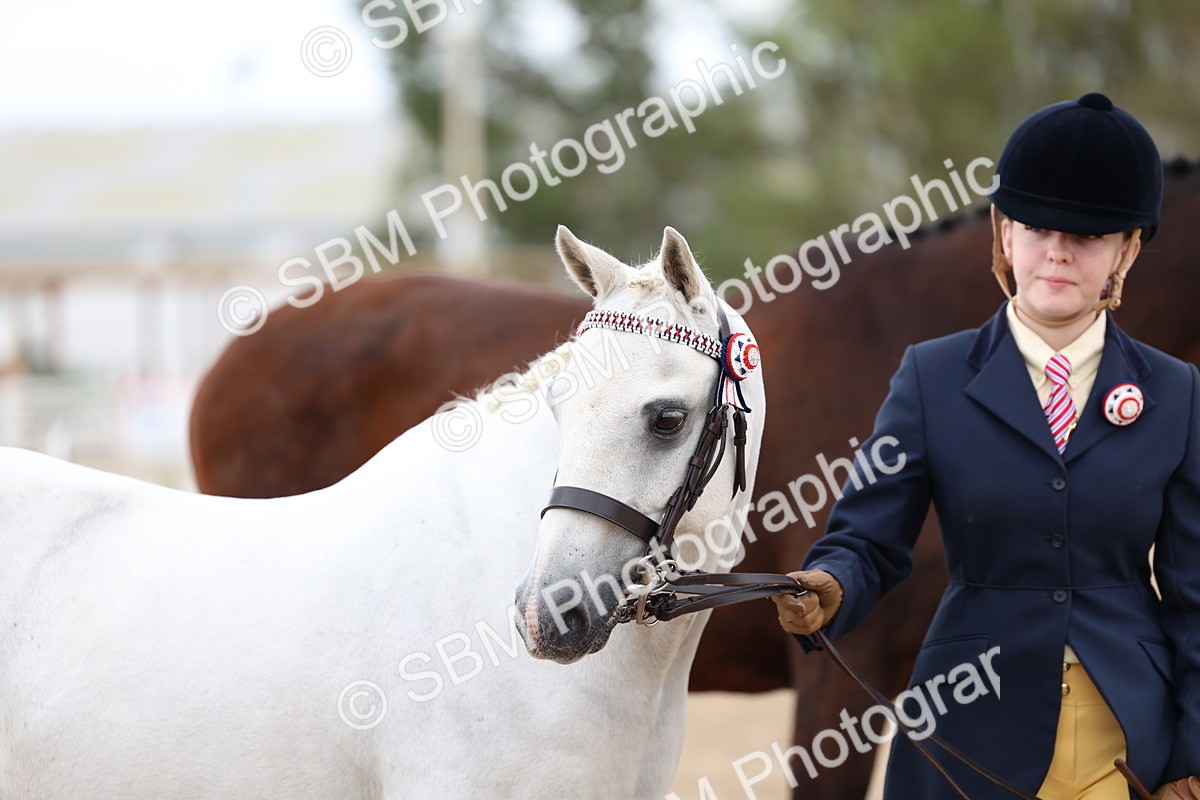 SBM_05137 - Class 27 - IH Competition Horse or Pony