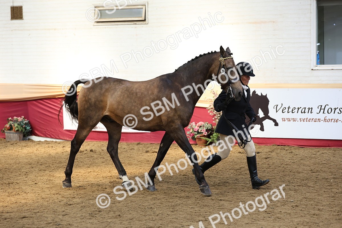 SBM_24149 - Class 905 - Supreme Final - Ridden Veteran