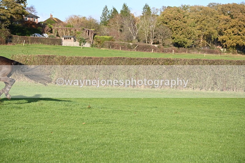 WJ6_3305 - Camera A