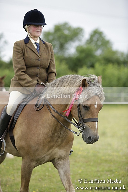 BVR160717-1351 - Ring 1 BVRC Show 16/07/17