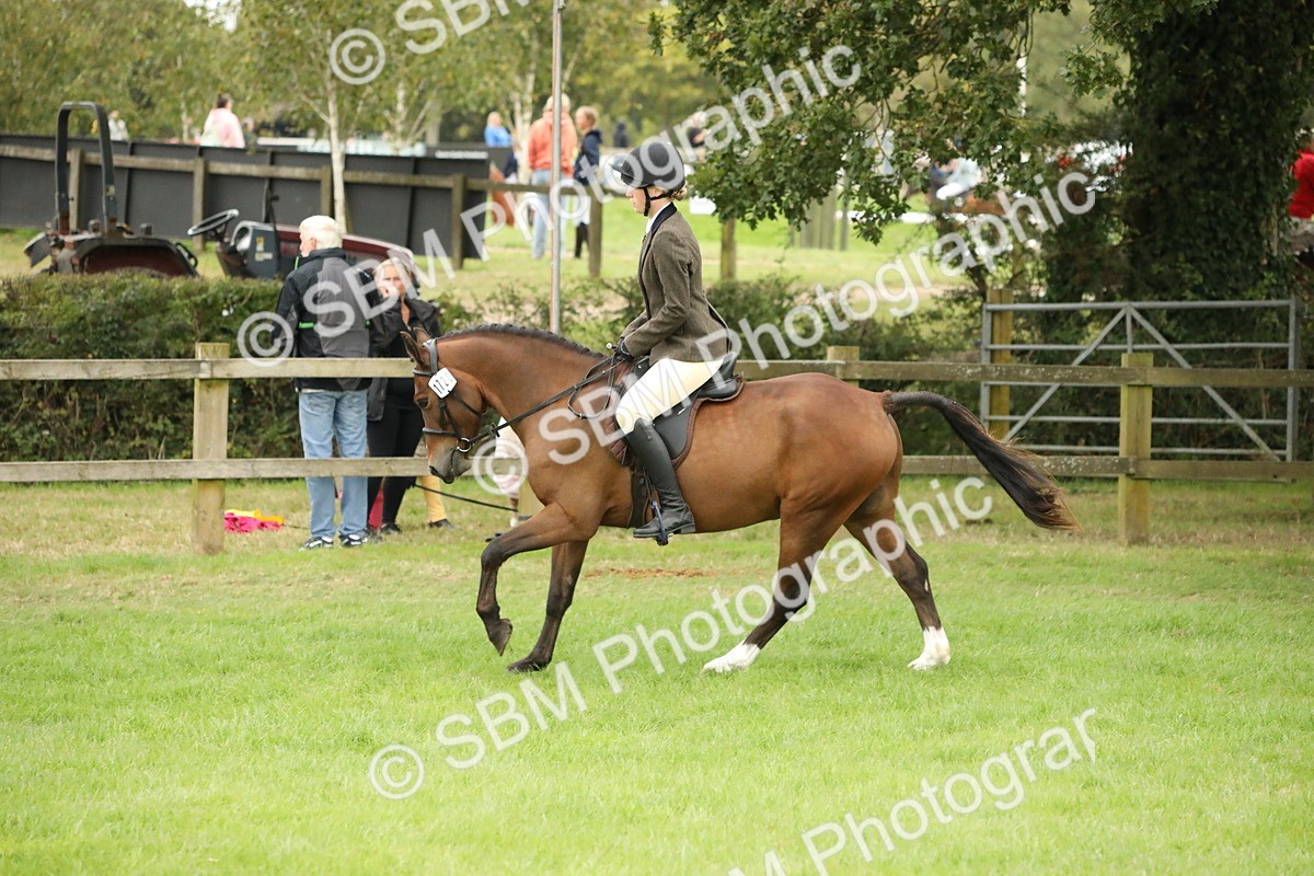 SBM_73754 - S41 - Ridden Equitation (Best Rider)