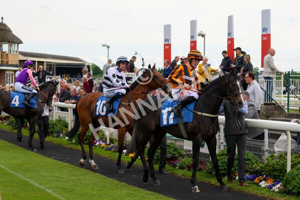 yr22052022r3-26 - Race 3: 4:35pm Sky Bet Sunday Series Dash
