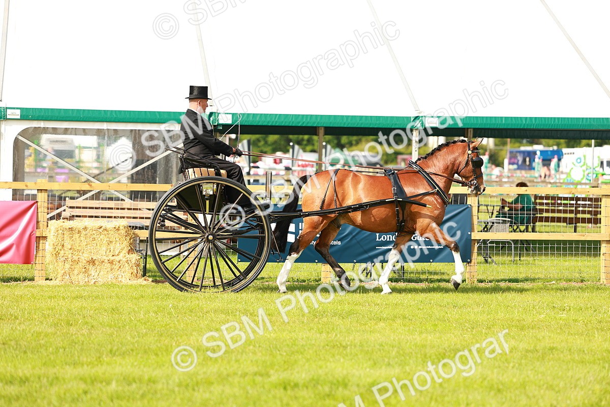 SBM_01157 - Class 2-4 - HOYS Private Driving