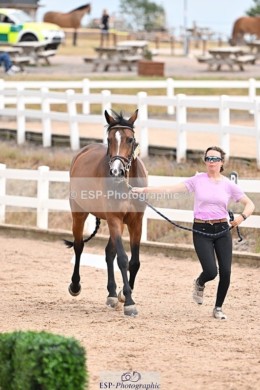 250716-151049-01724 - Trot Up 2.30 to 3.30