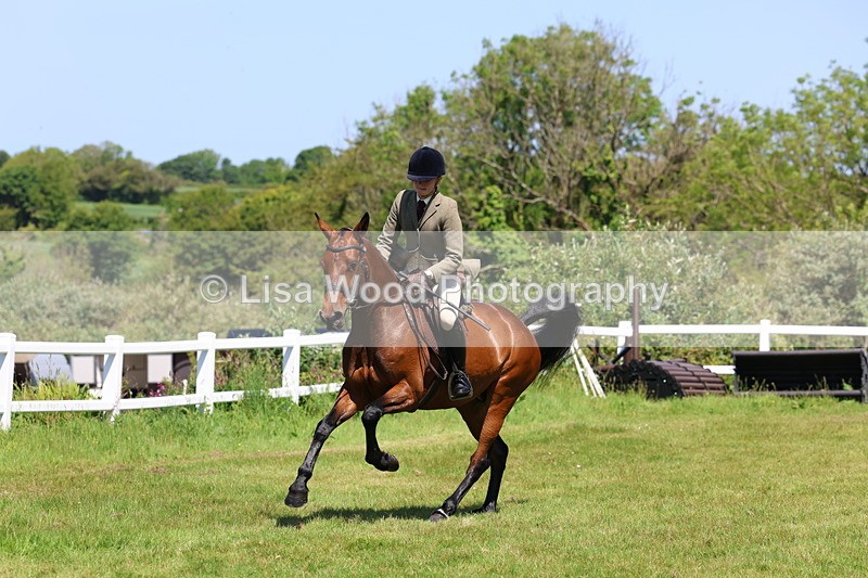 3E7A7300 - Class 30: Novice Working Hunter