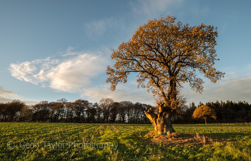 Dusk above Middlehope - Wenlock Edge