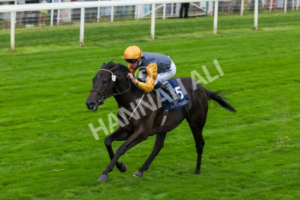 230823-Race 2-Indian Run-4135 - Race 2 2.25pm Tattersalls Acomb Stakes