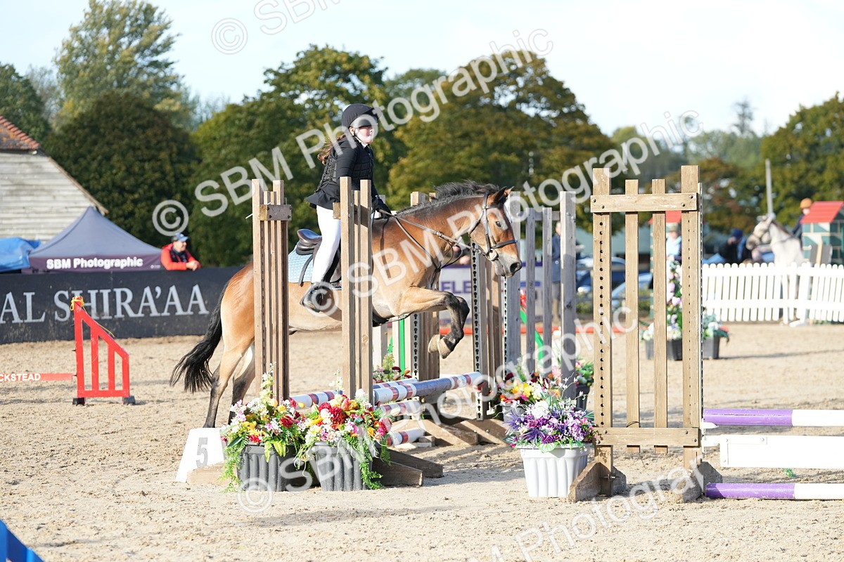 SBM_29112 - J43 - Horse & Hound Open 50cm