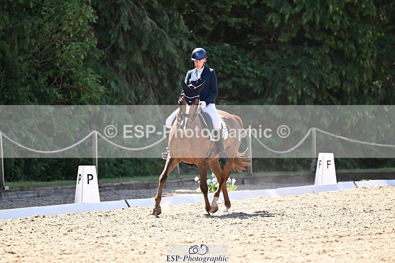 260731A-112337-00331 - Elementary Bronze 10.30 - Break