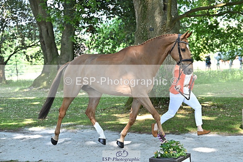 250521A-153748-00647 - B-370-Emma.Hyslop-Webb-KBS.TIME.TRAVEL