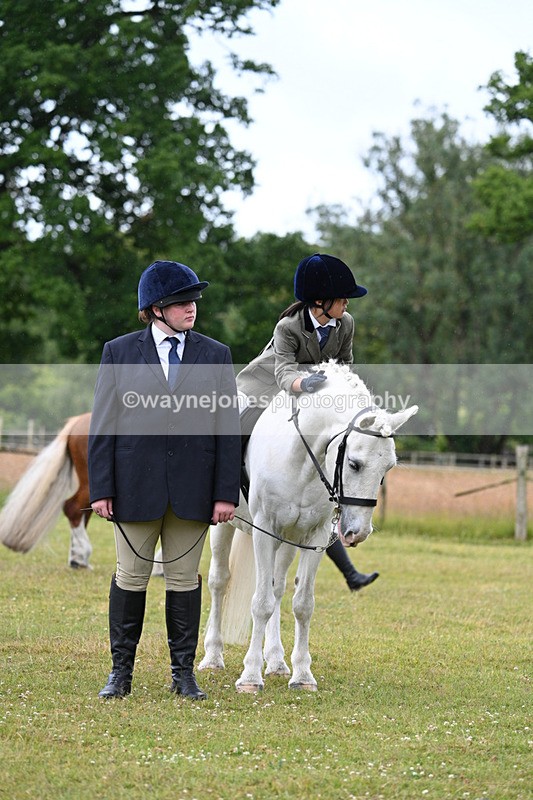 WJ7_4785 - Class 1 Lead Rein Pony