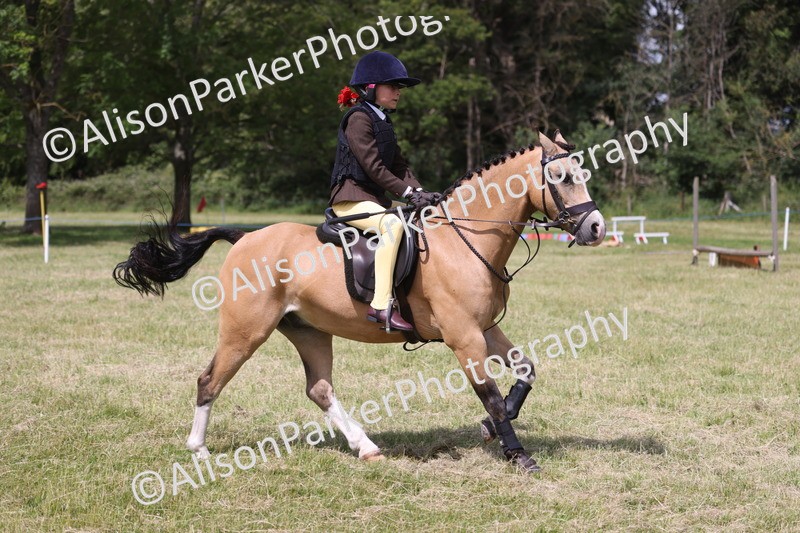 20260614-1891 - Class 21 - Novice Working Hunter Pony
