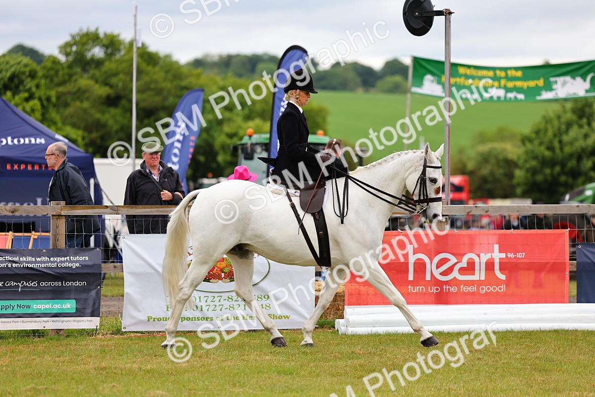 SBM_02711 - Class 9-11 Side Saddle including LIHS Rising Star Ladies Show Horse