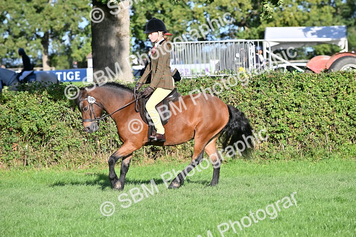 SBM_53021 - S23 - First Ridden Mountain & Moorland Pony