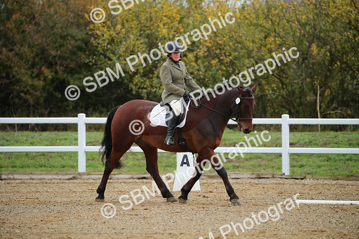 SBM_000384 - Intro 2