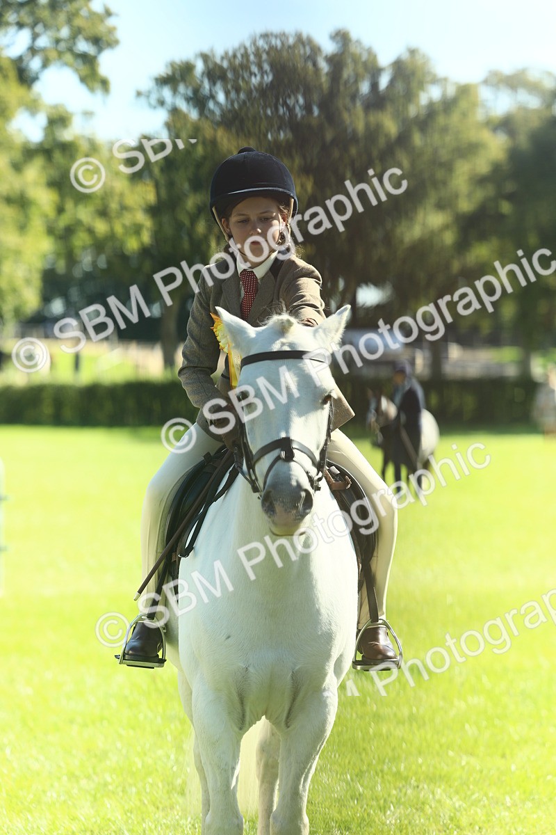 SBM_39081 - S29 - Novice & Newcomers Working Hunter Pony