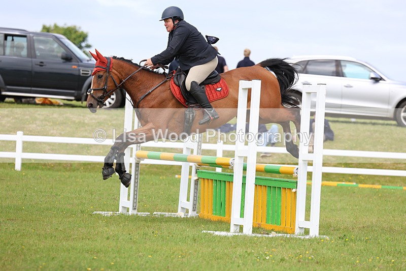 3E7A7499 - Class 13: Senior British Novice/90cm open