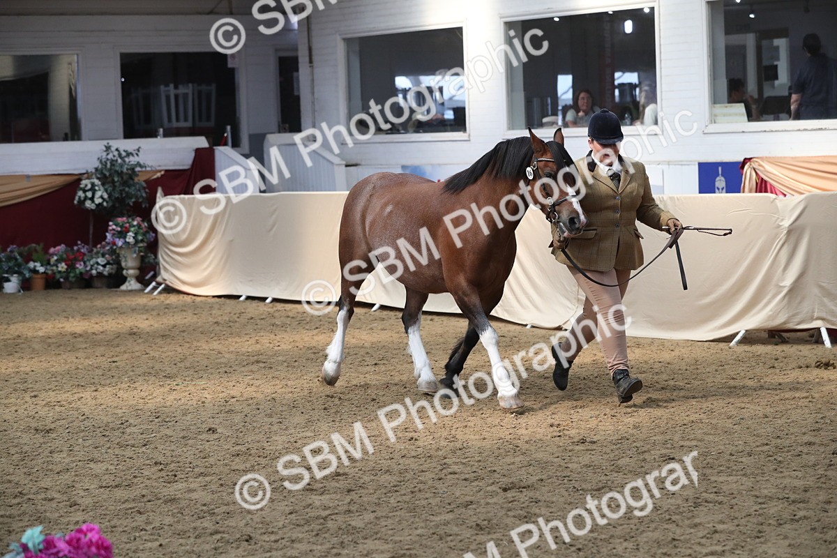 SBM_15333 - Class 501 M&M IH Supreme Final