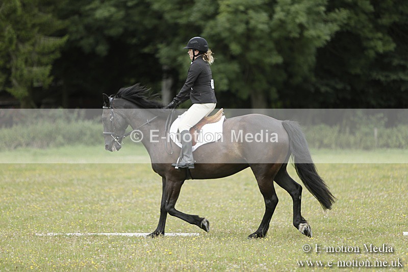 BVR160717-634 - Class 1 & 23a Dressage 16/07/17