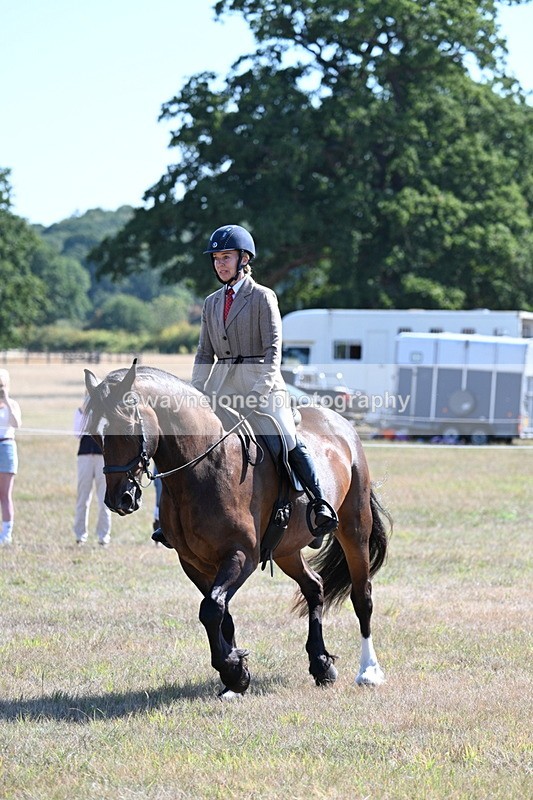 WJ7_3910 - Class 9 Mountain & Moorland Ridden