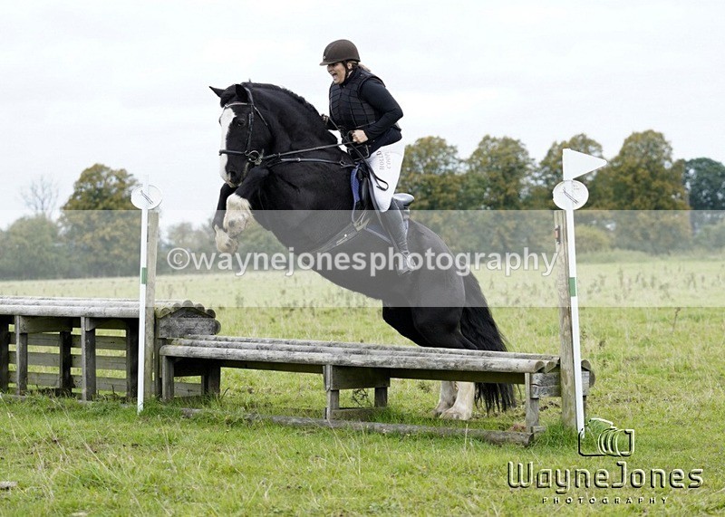 _DSC8139 - Edited examples