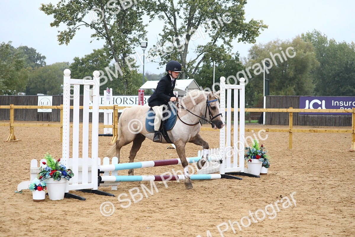 SBM_71569 - J4 - Mini Tour Junior Pony 45cm Championship