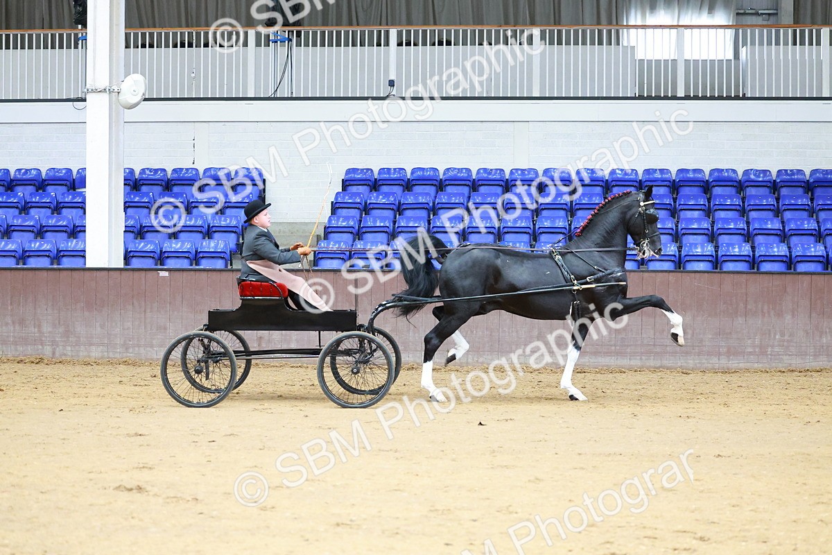 SBM_001011 - Class 13  - HHS Championship Intl Hackney Horse to a Show Wagon
