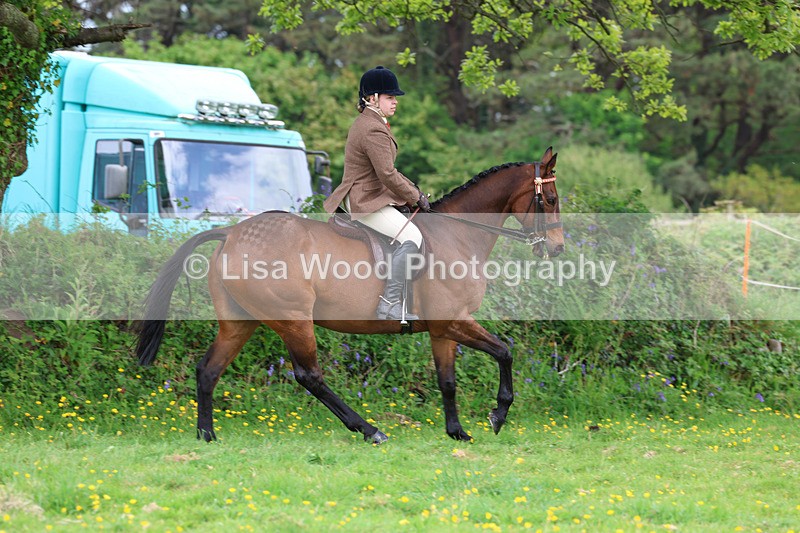 3E7A1986 - Class 10: Ridden Sports Horse
