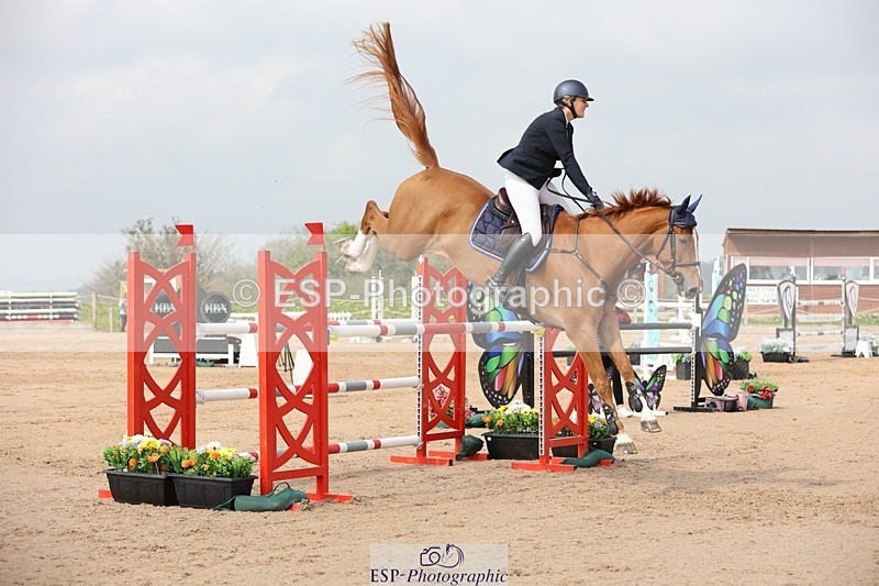 250424-105857-03329 - Cls 33 Young Horse 7yr old