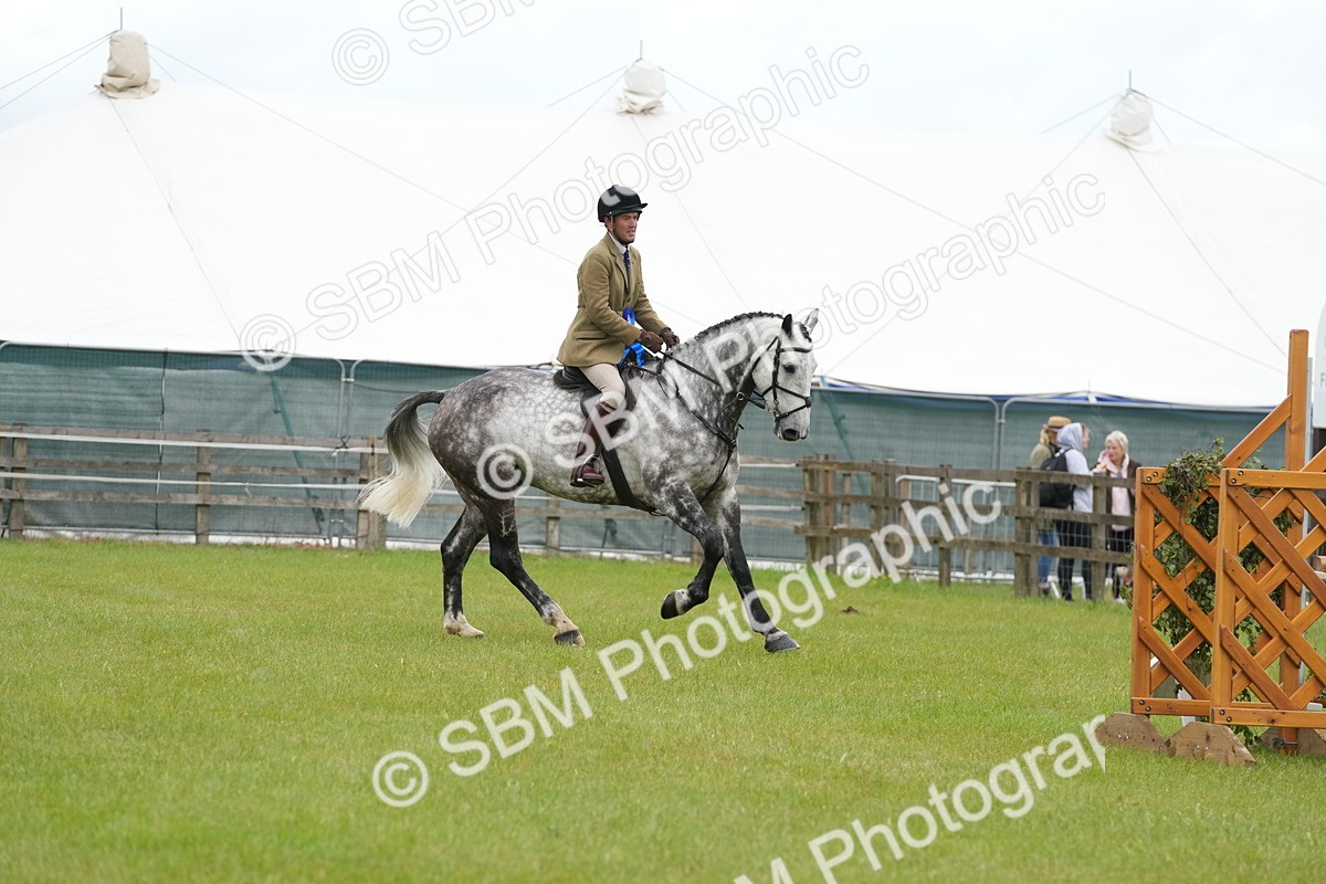 SBM_12837 - Class 97-98 - LIHS BSHA Rising Star Working Show Horse Hunter
