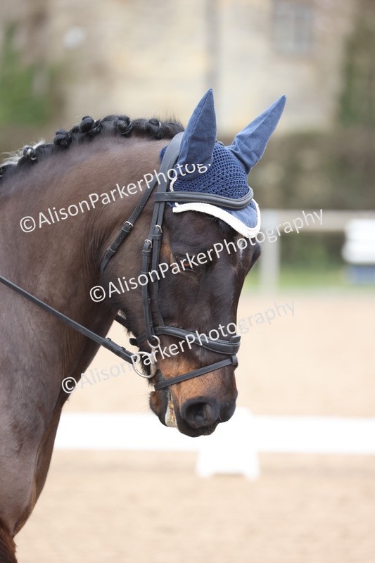 20260301-0495 - Class 3 - Novice 4