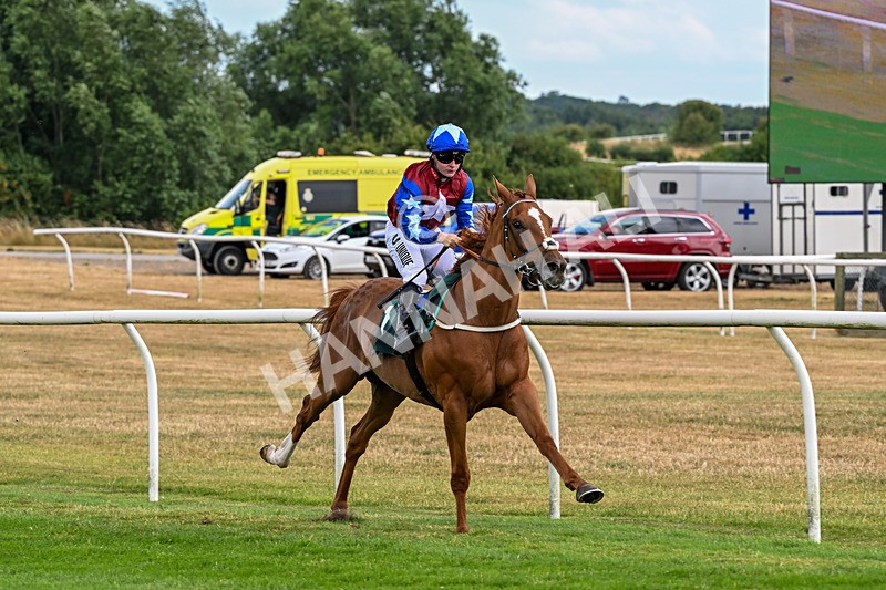 040826-Race 3-Free World-5094 - Race 3 15.15pm Jacky Rylance 60th Birthday Celebration Handicap